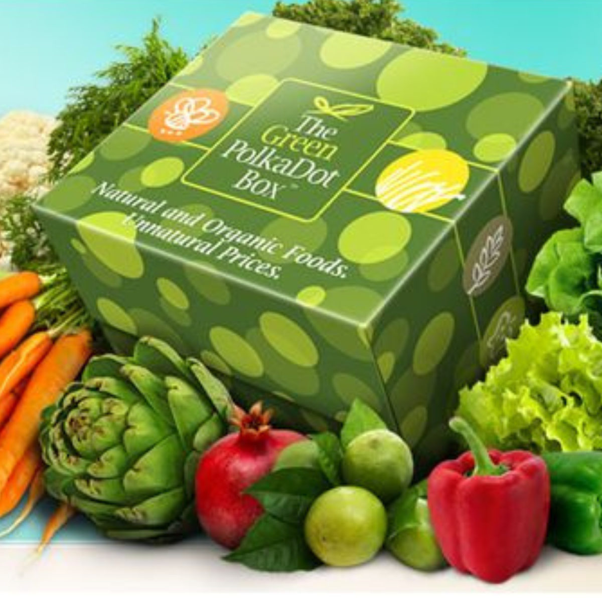 Quy Trình Thiết Kế Và Sản Xuất Thùng Đựng Nông Sản post image