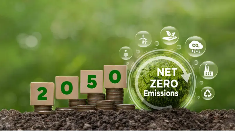 Xu hướng Net Zero trên thế giới