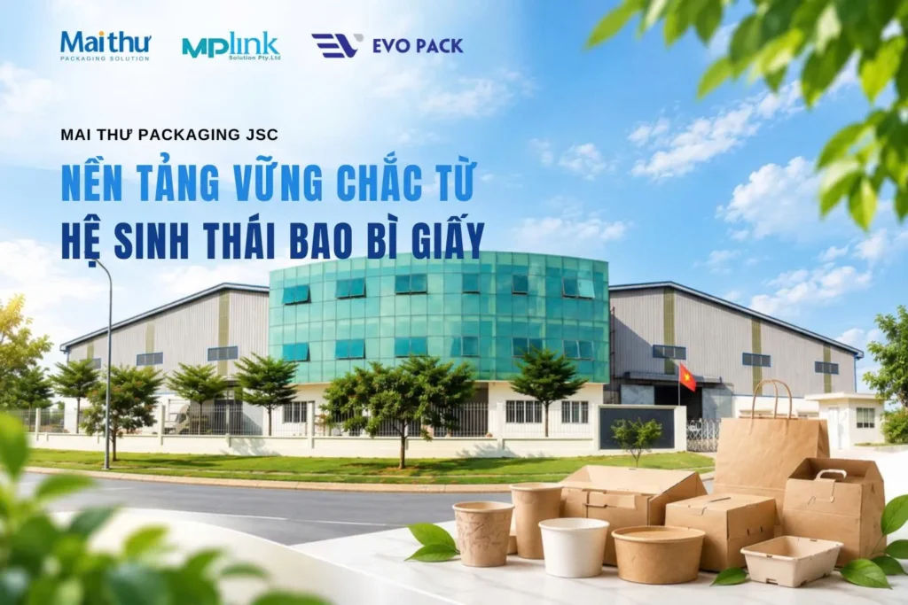 Cú Bắt Tay Xuyên Lục Địa: Mai Thư Packaging x MPLink Nâng Tầm Giải Pháp Bao Bì Nông Sản Quốc Tế post image